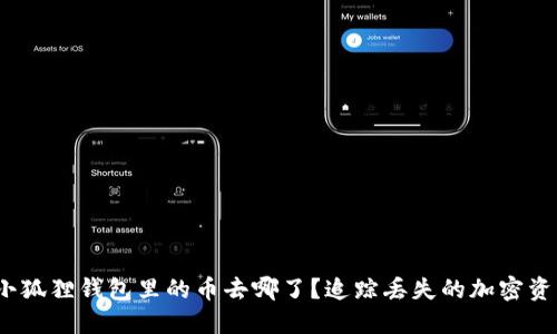 :小狐狸钱包里的币去哪了？追踪丢失的加密资产