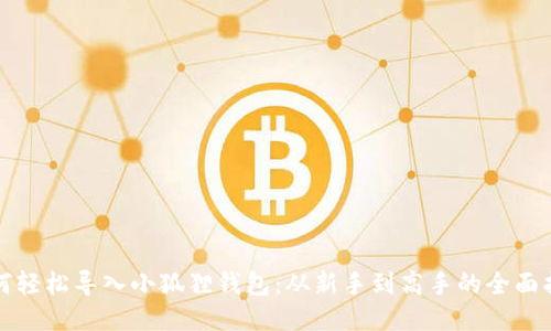 如何轻松导入小狐狸钱包：从新手到高手的全面指南