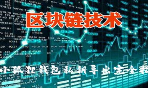 : 小狐狸钱包私钥导出完全指南
