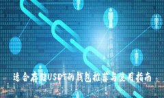 适合存储USDT的钱包推荐与