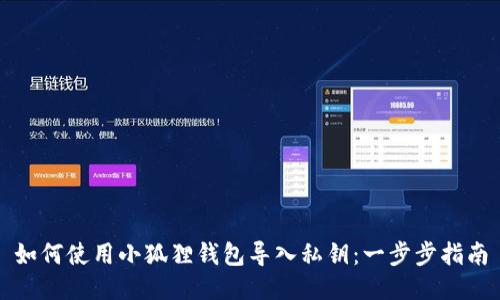 如何使用小狐狸钱包导入私钥：一步步指南