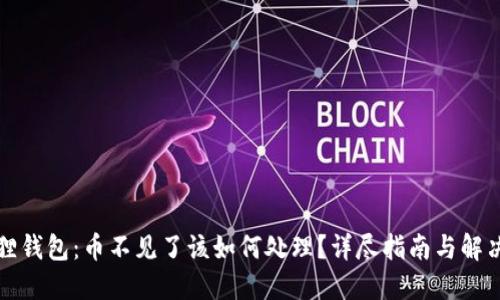 小狐狸钱包：币不见了该如何处理？详尽指南与解决方案