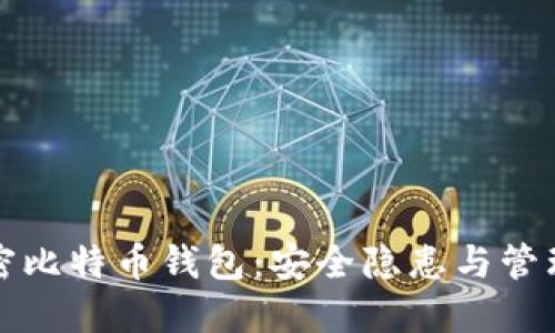 不加密比特币钱包：安全隐患与管理策略