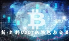 全方位解析：支持USDT的钱