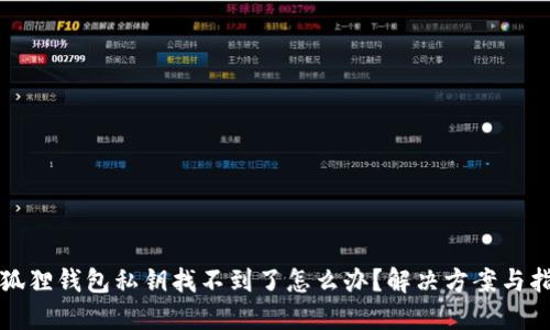 小狐狸钱包私钥找不到了怎么办？解决方案与指导