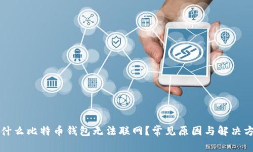 为什么比特币钱包无法联网？常见原因与解决方案