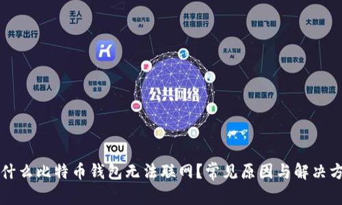 为什么比特币钱包无法联网？常见原因与解决方案