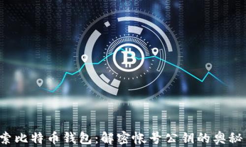 
pre探索比特币钱包：解密帐号公钥的奥秘与安全