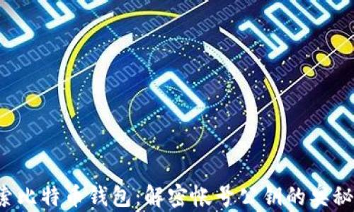 
pre探索比特币钱包：解密帐号公钥的奥秘与安全