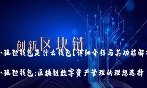 小狐狸钱包是什么钱包？详细介绍与其功能解析

小狐狸钱包：区块链数字资产管理的理想选择