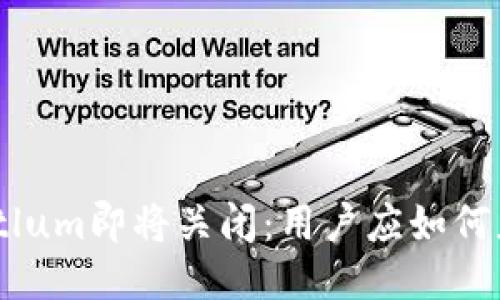 比特币钱包Bitlum即将关闭：用户应如何应对这一变化？
