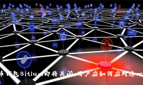比特币钱包Bitlum即将关闭：用户应如何应对这一变化？