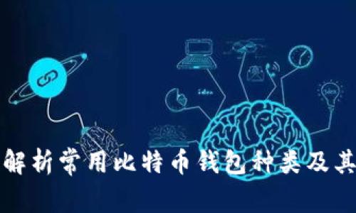 全面解析常用比特币钱包种类及其特点