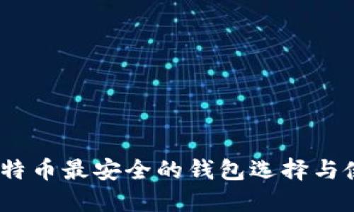 揭秘：比特币最安全的钱包选择与使用指南