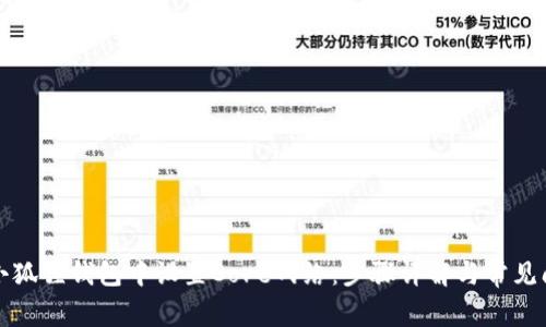 如何在小狐狸钱包中设置Core网络：步骤详解与常见问题解答