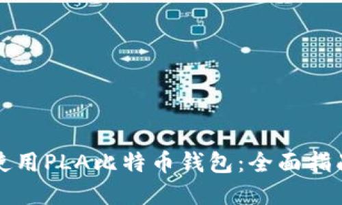 如何选择与使用PLA比特币钱包：全面指南与实用技巧