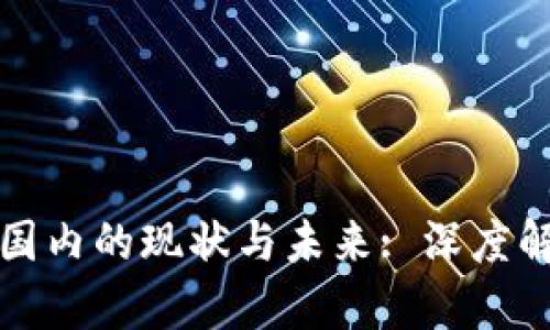 比特币钱包在国内的现状与未来: 深度解析与投资建议