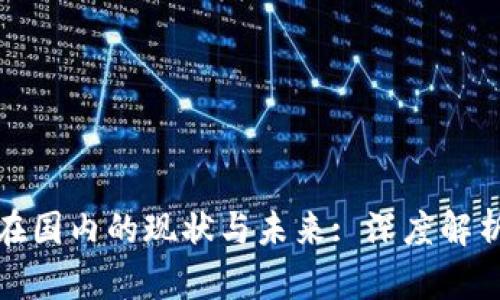 比特币钱包在国内的现状与未来: 深度解析与投资建议