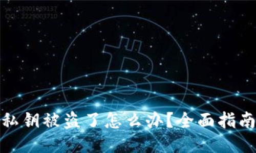 小狐狸钱包私钥被盗了怎么办？全面指南与应对策略