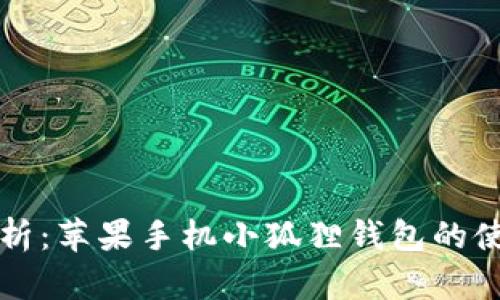 全面解析：苹果手机小狐狸钱包的使用指南