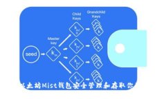 如何在以太坊Mist钱包安全