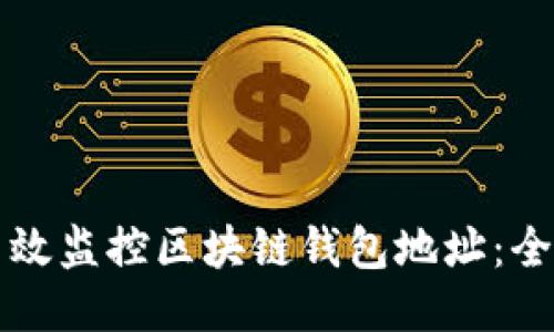 如何高效监控区块链钱包地址：全面指南