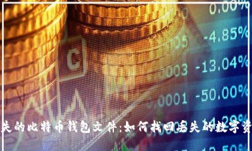 遗失的比特币钱包文件：如何找回丢失的数字资产