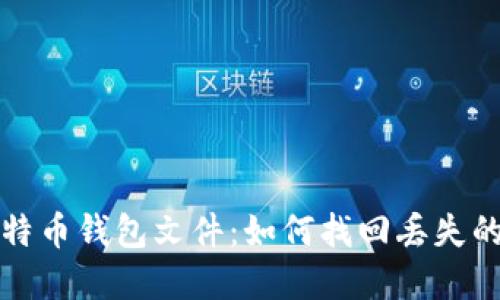 遗失的比特币钱包文件：如何找回丢失的数字资产