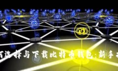 如何选择与下载比特币钱
