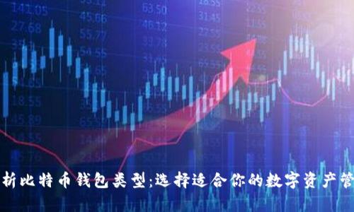 全面解析比特币钱包类型：选择适合你的数字资产管理工具