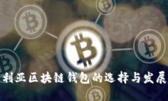 尼日利亚区块链钱包的选择与发展趋势