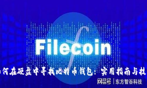 如何在硬盘中寻找比特币钱包: 实用指南与技巧