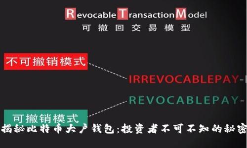 揭秘比特币大户钱包：投资者不可不知的秘密