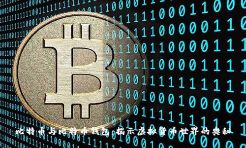 比特币与比特币钱包：揭示虚拟货币世界的奥秘