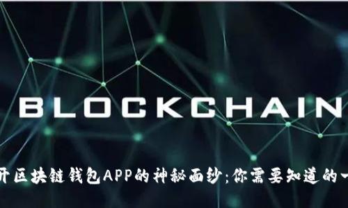 揭开区块链钱包APP的神秘面纱:你需要知道的一切