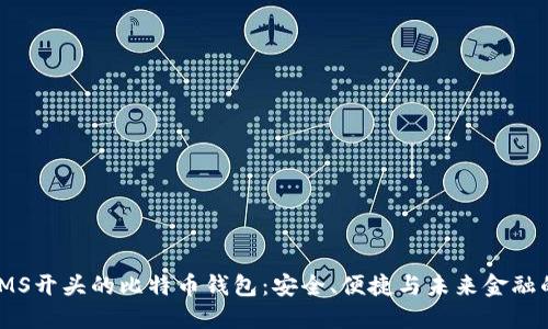 探索IMS开头的比特币钱包：安全、便捷与未来金融的结合