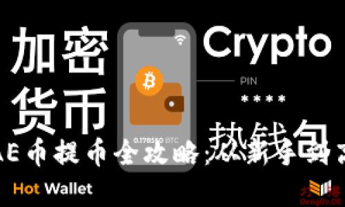 : 以太坊钱包AE币提币全攻略：从新手到高手的实用指南