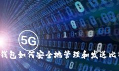  冷钱包如何安全地管理和