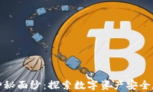 
揭开区块链钱包的神秘面纱：探索数字资产安全存储的最佳解决方案