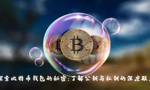 探索比特币钱包的秘密：了解公钥与私钥的深度联系