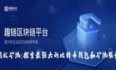 蚂蚁矿池：探索最强大的