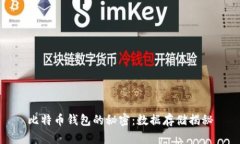比特币钱包的秘密：数据