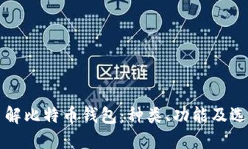 深入了解比特币钱包：种类、功能及选择指南