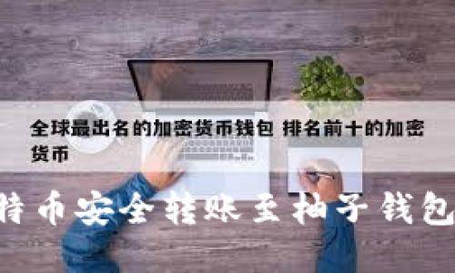 如何将比特币安全转账至柚子钱包：终极指南
