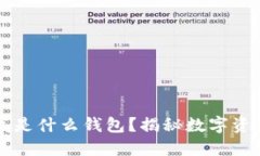 区块链钱包到底是什么钱