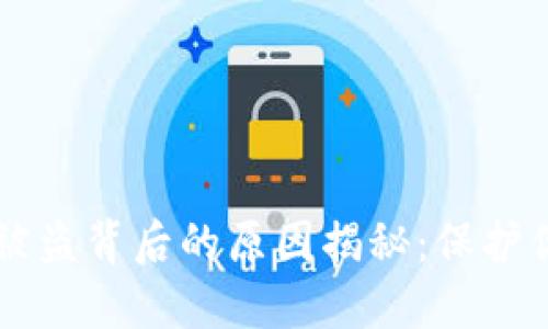 区块链钱包被盗背后的原因揭秘：保护你的数字资产