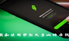 如何轻松下载和使用萨尔