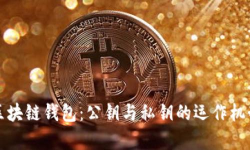 深入解析区块链钱包：公钥与私钥的运作机制与安全性