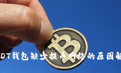 USDT钱包缺少提币网络的原