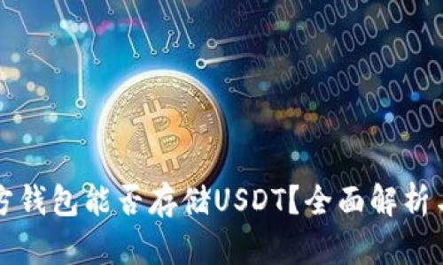 比特币官方钱包能否存储USDT？全面解析与使用指南
